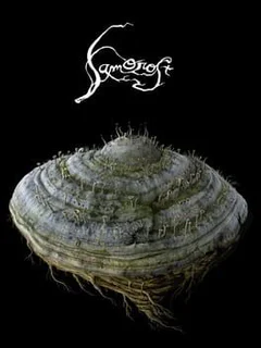 Samorost cover