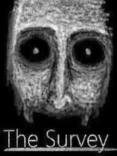 The Survey