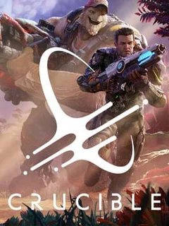 Crucible cover
