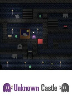 Unknown Castle