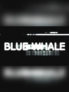 Blue Whale