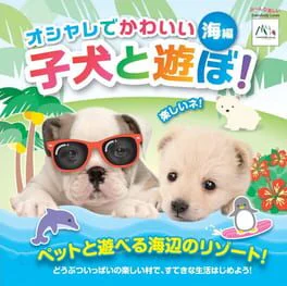 Oshare de Kawaii Koinu to Asobo!: Machi-hen