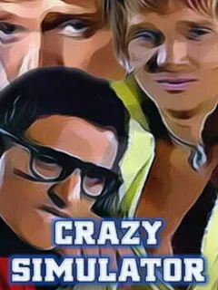 Crazy Simulator