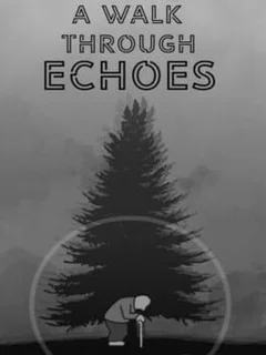 A Walk Through Echoes