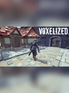 Voxelized