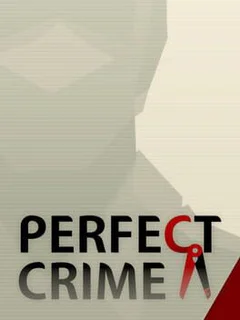 Perfect Crime