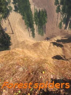 Forest spiders