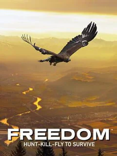 Freedom