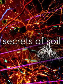 Secrets of Soil