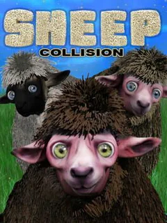 Sheep Collision