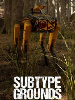 Subtype Grounds
