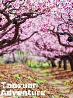 Taoyuan Adventure