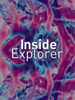 Inside Explorer