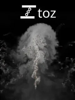 Toz