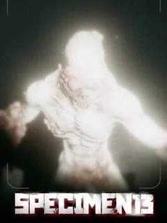 Specimen 13