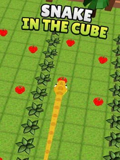 Snake in the Cube