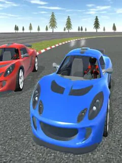Rally Drift Cars