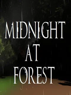 Midnight at Forest