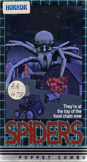 Spiders