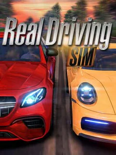 Real Driving Sim