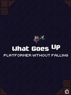What Goes Up
