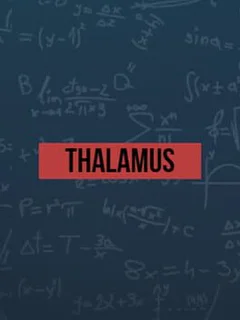 Thalamus
