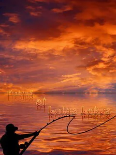 Fishing at Lotus Lakes