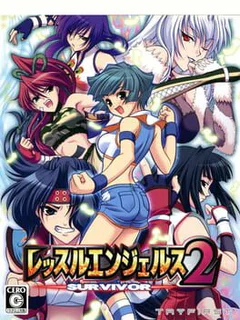Wrestle Angels: Survivor 2