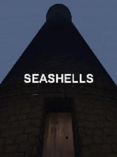Seashells