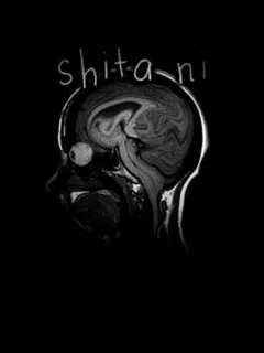 Shita ni