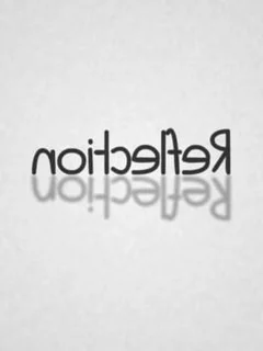 Noitcelfer