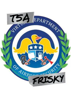 TSA Frisky VR
