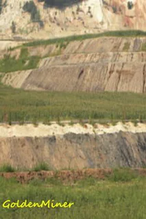 GoldenMiner