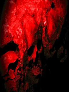 Scorn