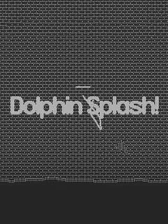 Dolphin Splash!