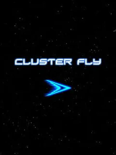 Cluster Fly