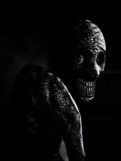 Insomnis Experiment