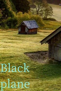 Black plane