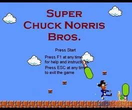 Super Chuck Norris Bros