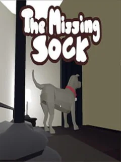 The Missing Sock
