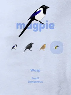 Magpie