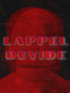 Lappelduvide