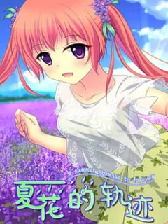 Trajectory of Summer Flower