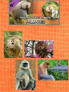 Pixel Puzzles Ultimate: Primates