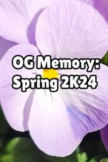 OG Memory: Spring 2K24