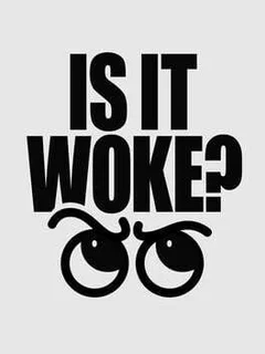 Is It Woke? cover