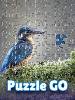 Puzzle Go