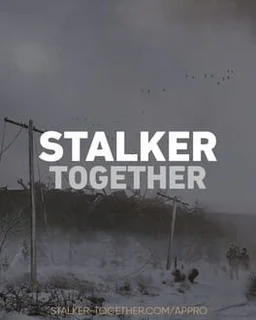 Stalker Together