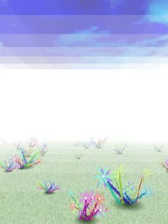 Sentimental Garden