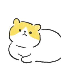Weird Cat